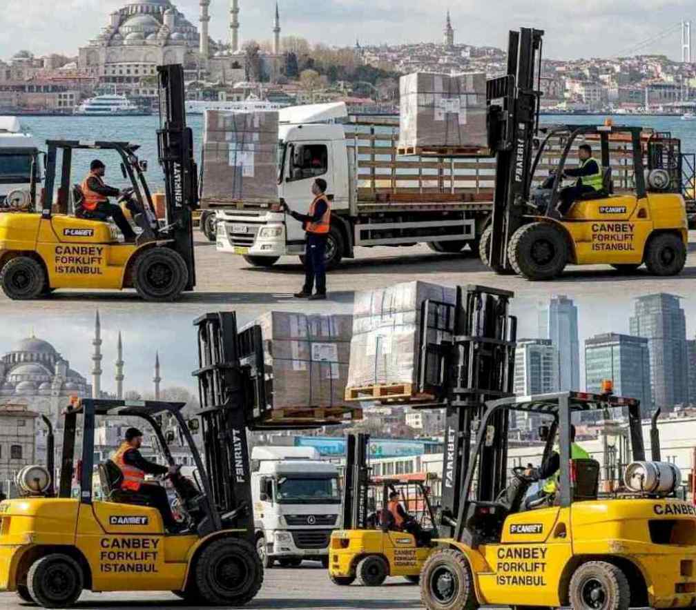 Profesyonel Gaziosmanpaşa forklift hizmetleri: Canbey